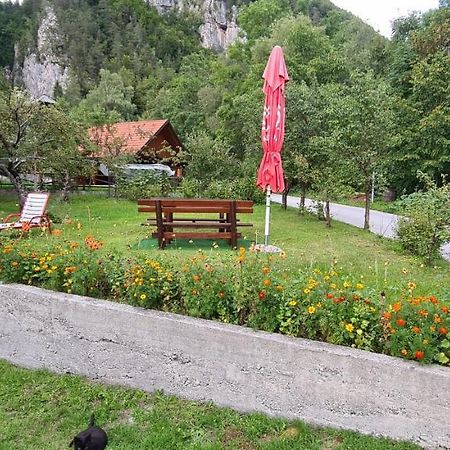 Apartma Vidic Gozd Martuljek Exterior foto